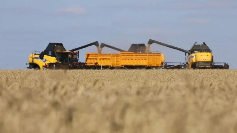 Как проходит уборочная кампания-2025 в Казахстане