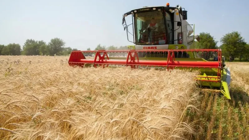 Karaganda region aims for nearly 1 million tons of grain
