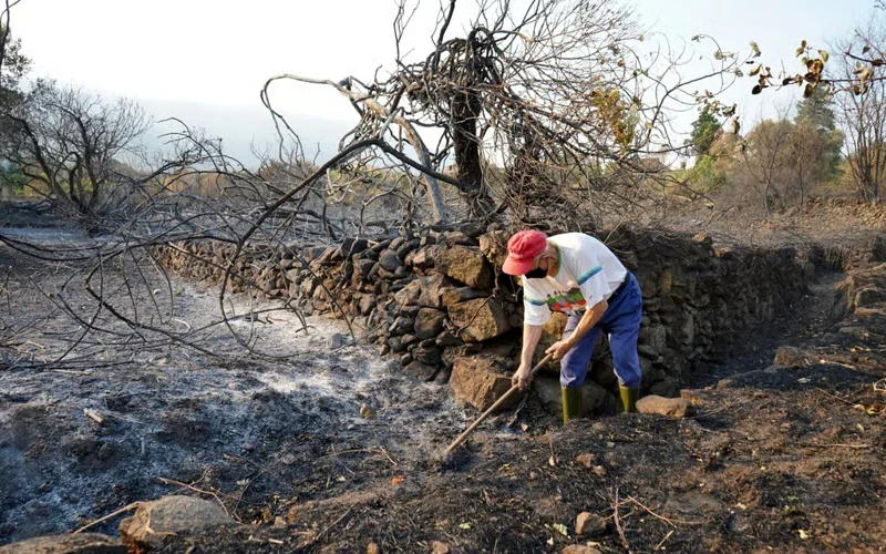 В результате пожаров Европа потеряла территорию размером с Кипр