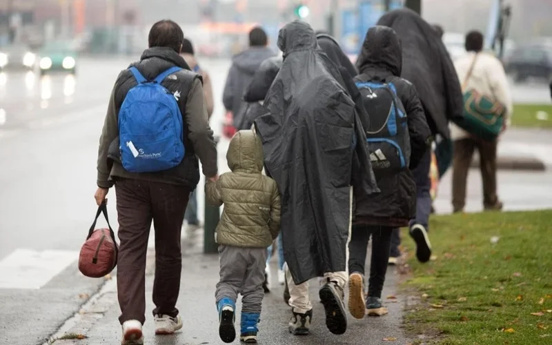 Численность иммигрантов в США сократилась впервые за 50 лет