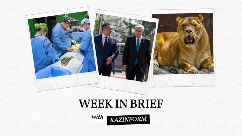 Week in brief