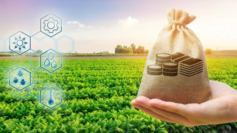 В Казахстане продолжается масштабная поддержка АПК