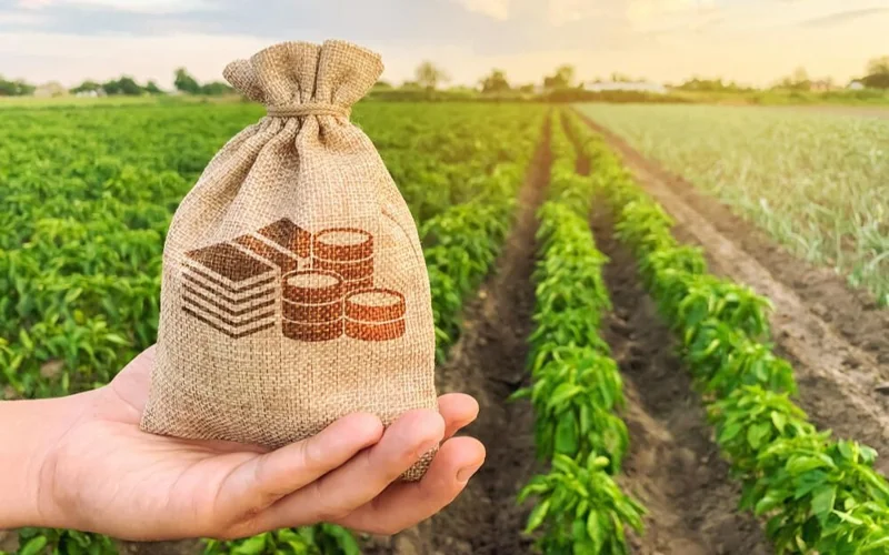 В Казахстане продолжается масштабная поддержка АПК