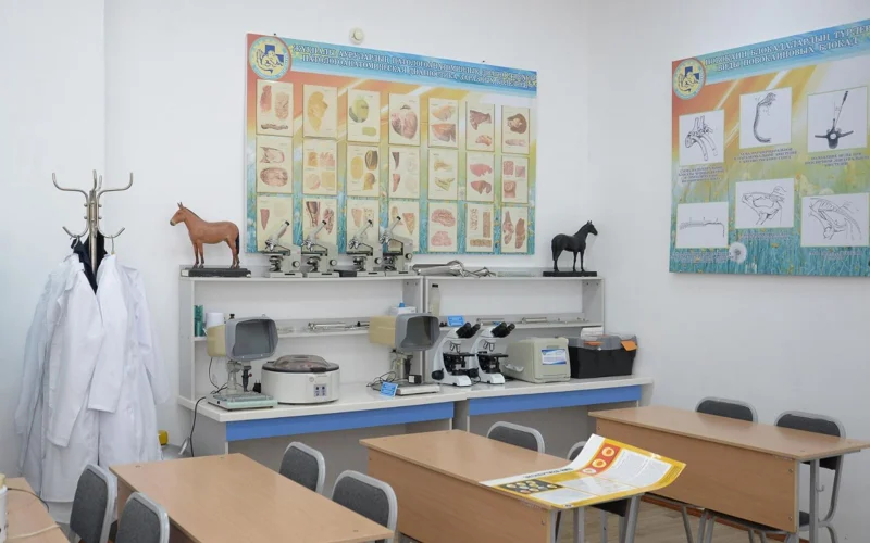 Qazaq agrarlyq zertteý ýnıversıtetiniń 5 jyldyq damý baǵdarlamasy bekitilmek