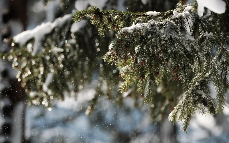 ШҚО-да қыркүйекте күн суытып, қар аралас жаңбыр жауады