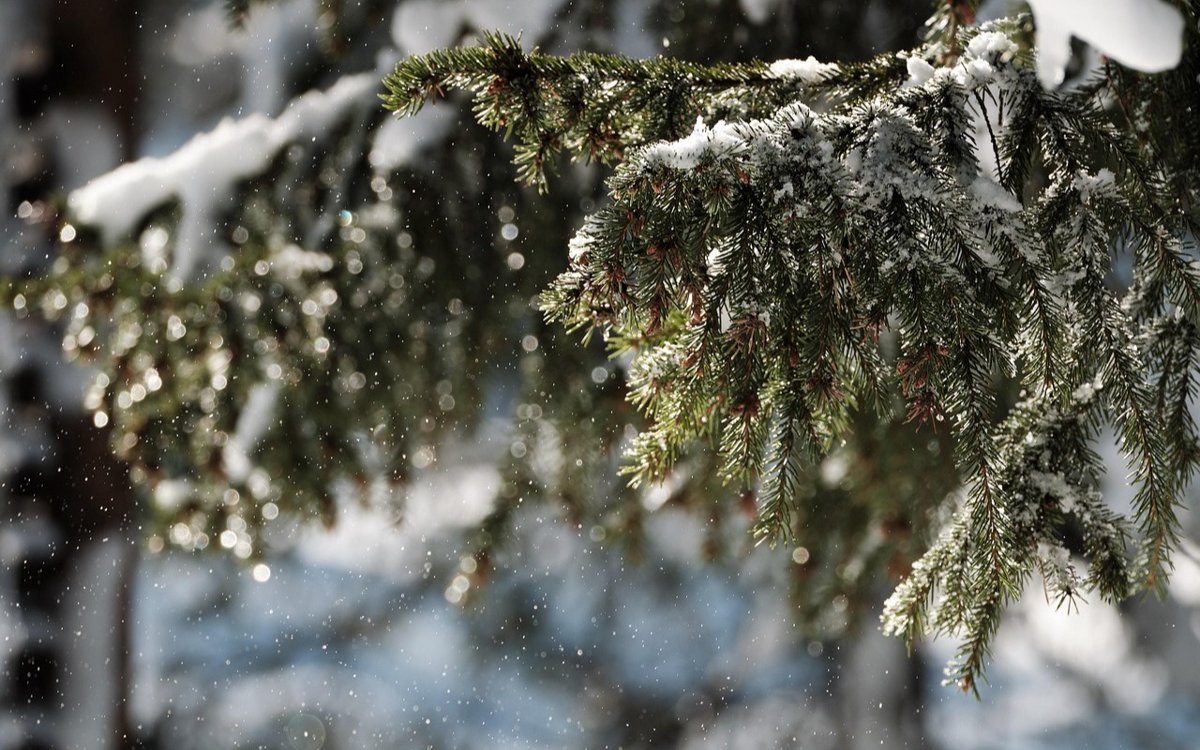 Бұршақ, екпінді жел, қар: 10 сәуірде ауа райы күрт салқындайды