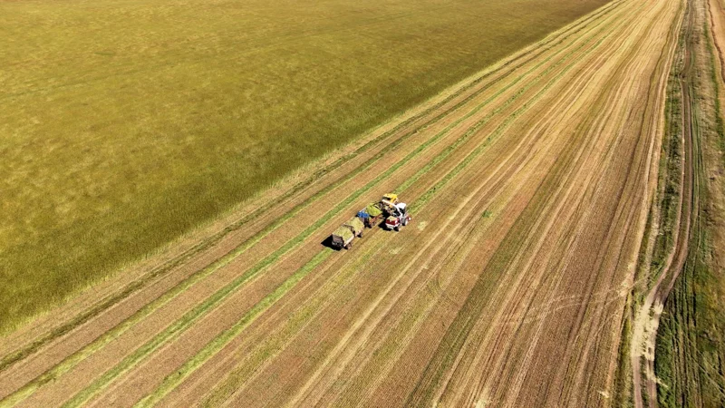 Программы «Кең дала» и «Кең дала 2»: стабильность и поддержка аграрного сектора