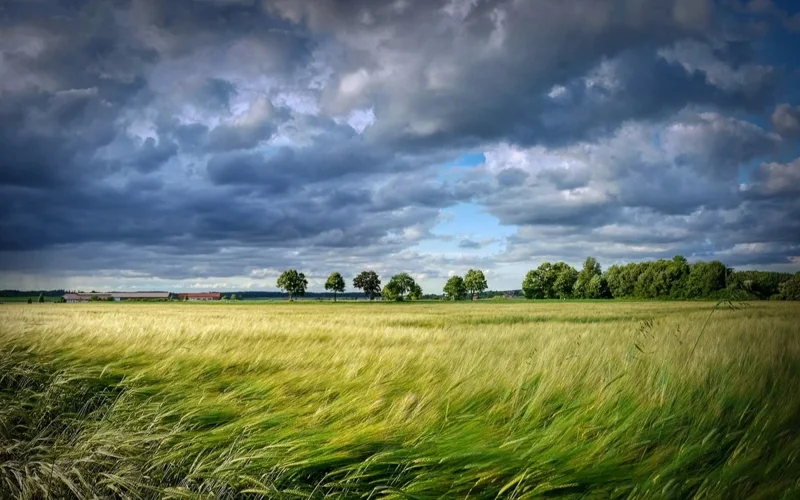 Storm alert is in place throughout Kazakhstan