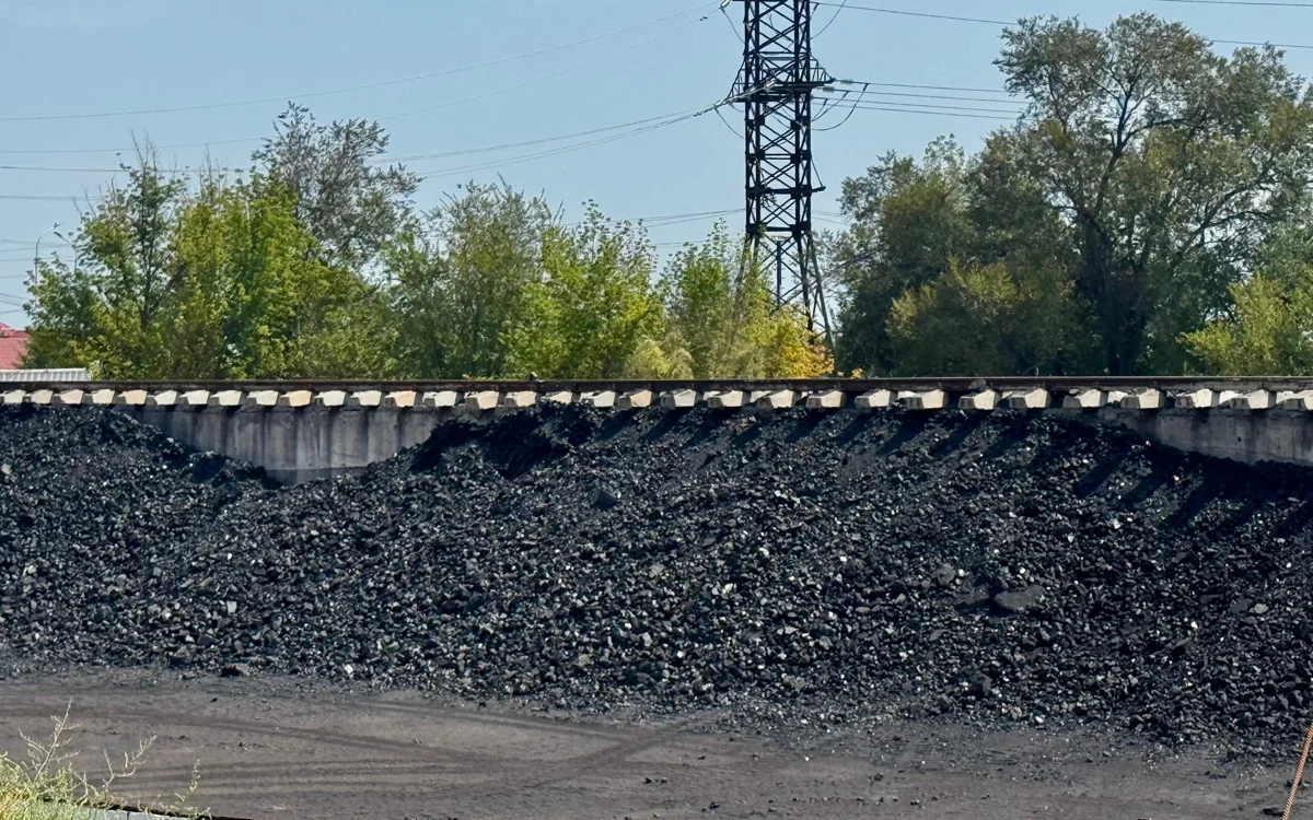 Үлкен тесіктері бар үлкен әйелдер фотосуреттері