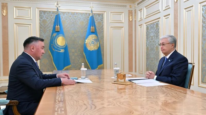 Президент принял председателя Верховного суда Асламбека Мергалиева