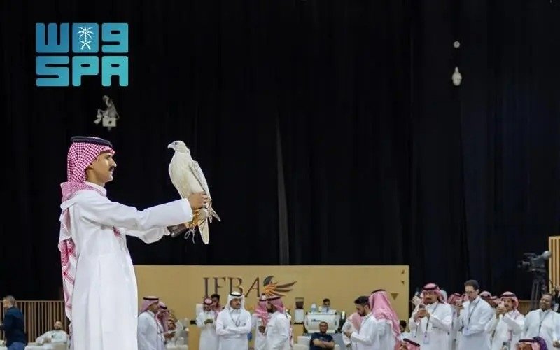 Falcon Sold for SAR1.2 Million at International Falcon Breeders Auction