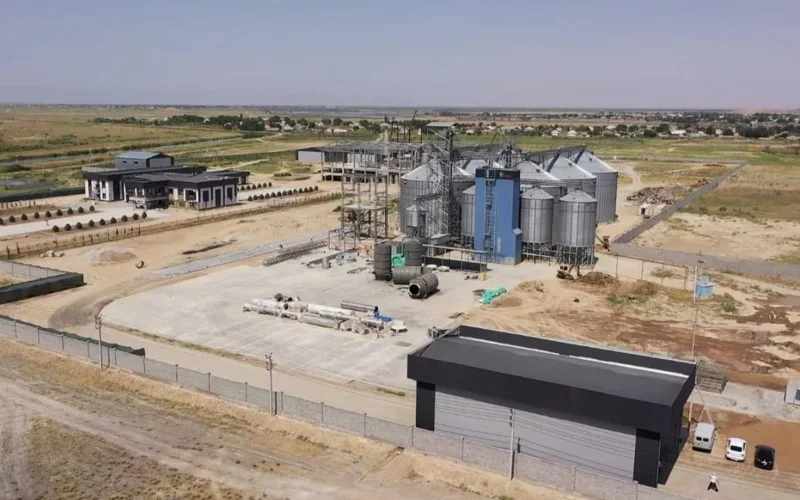 Kazakhstan to launch starch and dextrine plant