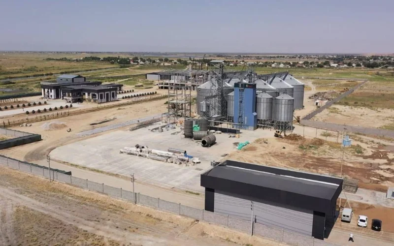 Крахмалопаточный завод запустят в Казахстане