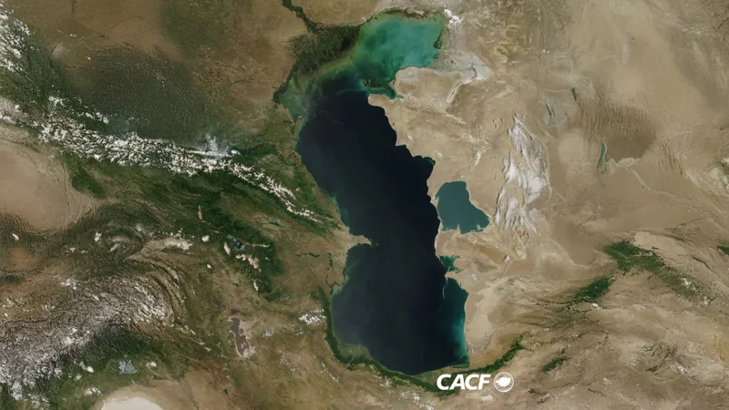 Грозит ли Каспию участь Арала: обзор Центрально-Азиатского климатического фонда 