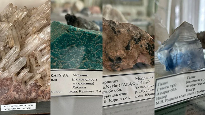 Удастся ли сохранить единственное в стране хранилище и геологическую выставку