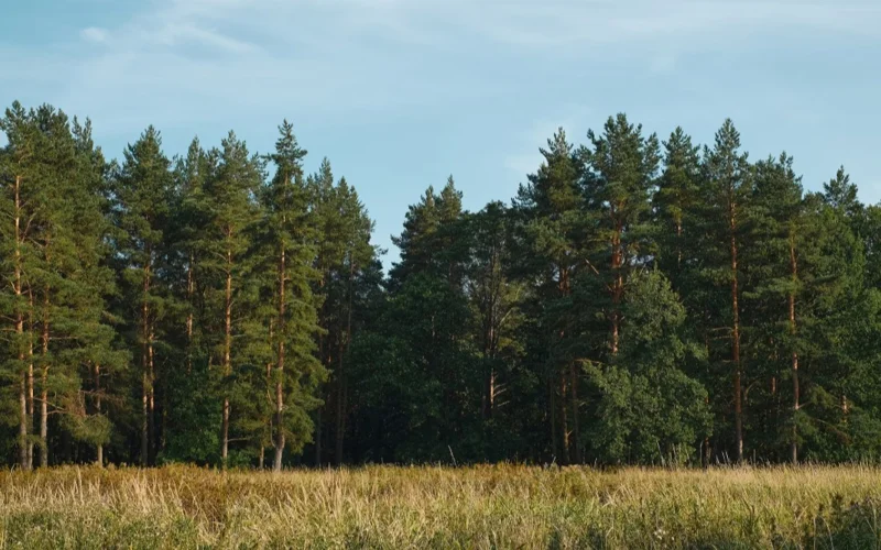 В Казахстане утверждены формы нагрудного знака егеря и спецодежды