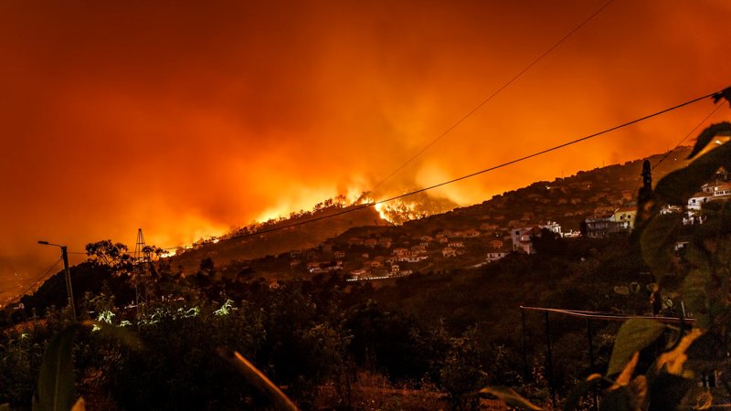 EU faces worst wildfire season on record Wildfires