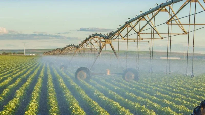 егістік суару