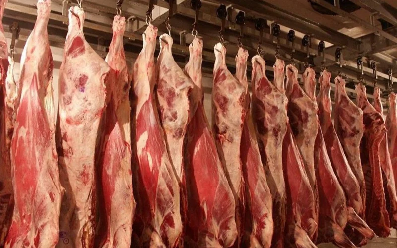 Kazakhstan produces 608,800 tons of meat in 7 months of 2025