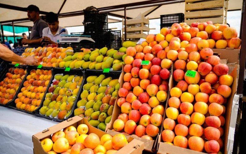 сельхозярмарка, продукты