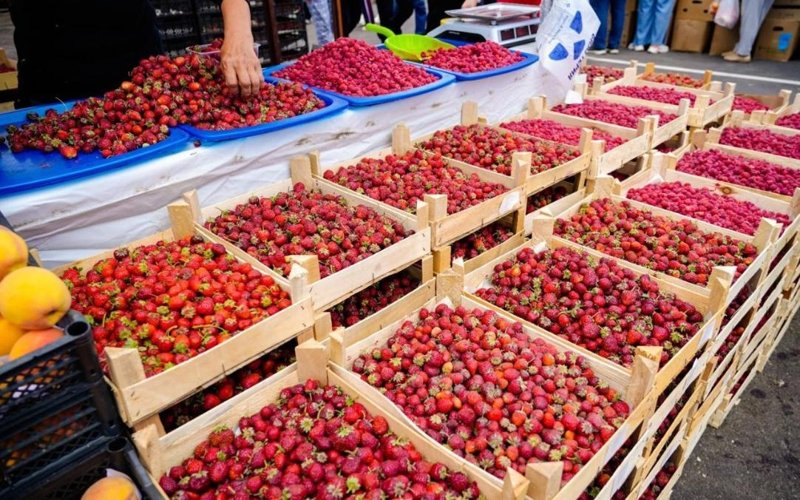 сельхозярмарка, продукты