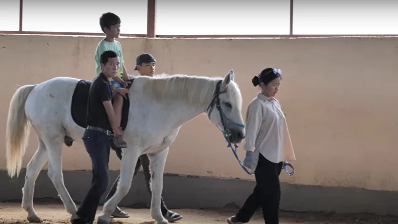 иппотерапия