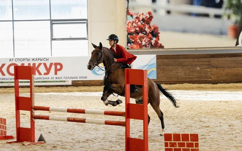 Astanada at sportynan Konstıtýtsııanyń 30 jyldyǵyna arnalǵan jarys ótip jatyr