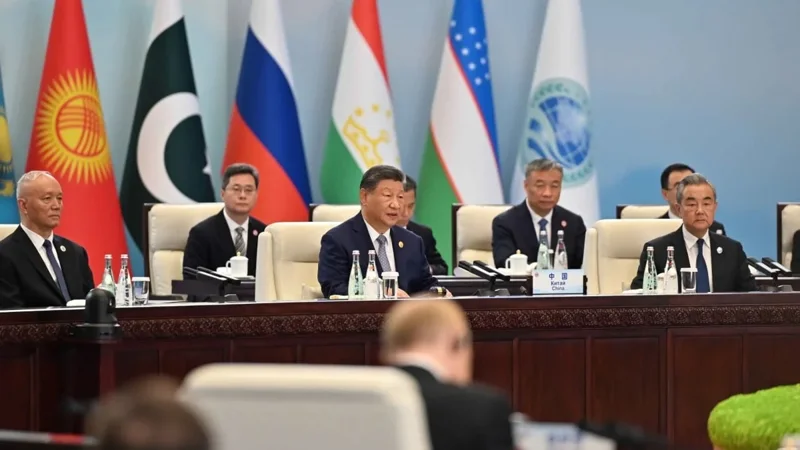 China to provide 2 bln yuan in grant to SCO member states within this year: Xi