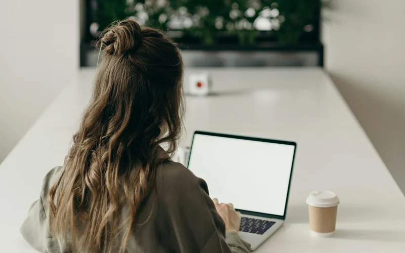 онлайн ноутбук, моешнничество