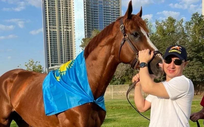 Kazakh horse Kabirkhan gears up for new season
