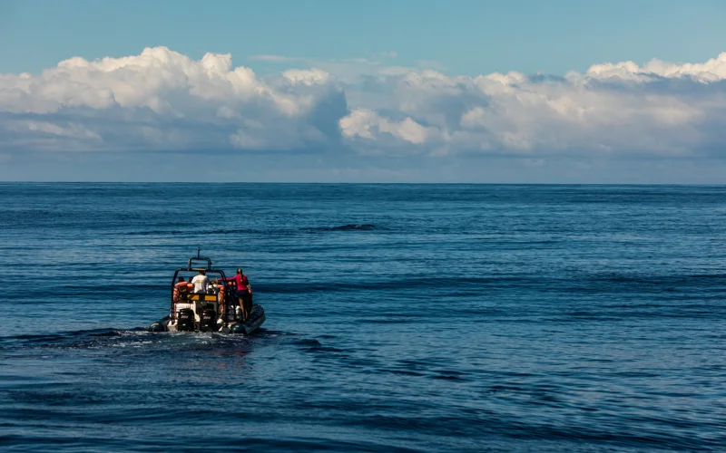 «Казнь» в море: Испания расследует массовое убийство в лодке с мигрантами