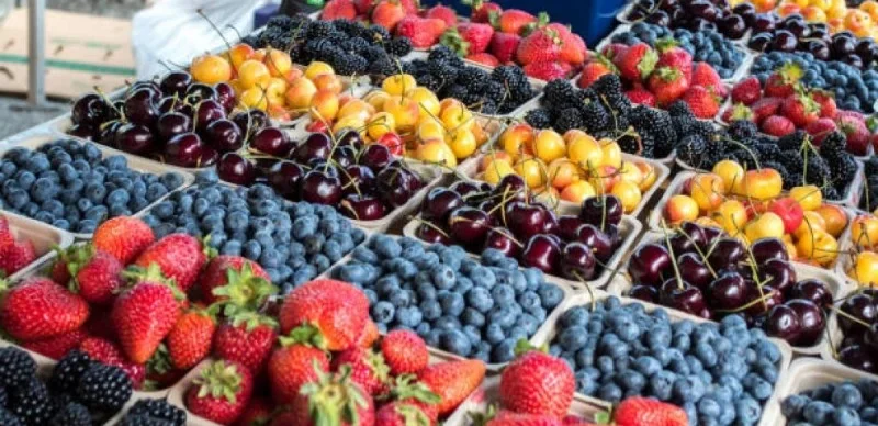  7 жеміс-жидек