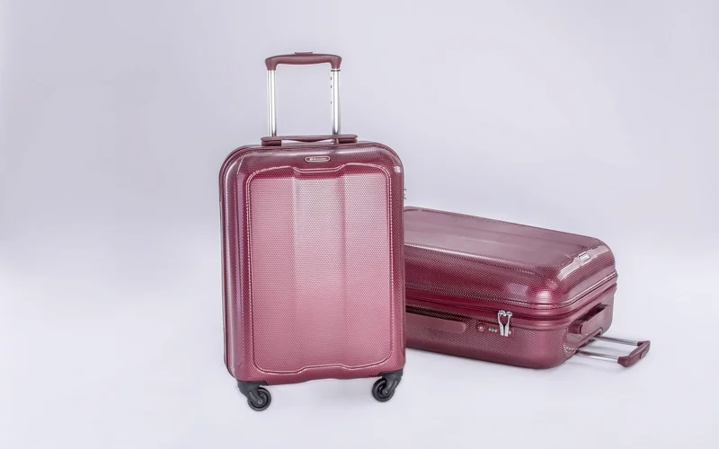 «Тұлпар-Тальго» вагондарына мінгендер үшін қол жүгінің салмағы 25 килограмнан аспауы керек