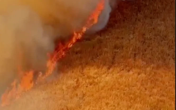 пожар в горах