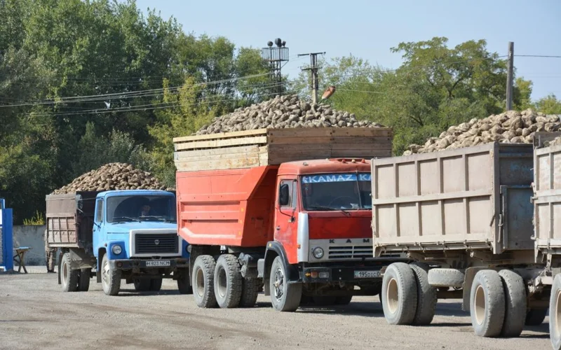 Жамбылским свекловодам вернут 3 млрд тенге долгов