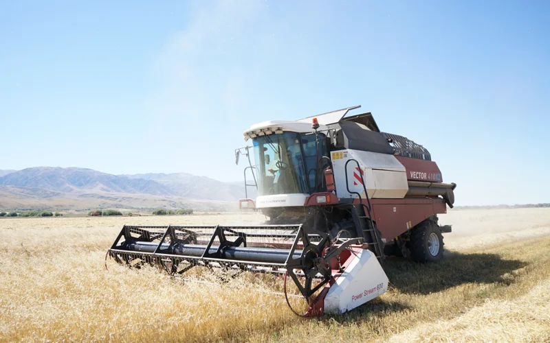 В Жетысу завершается уборка зерновых: обмолочено 92% посевных площадей