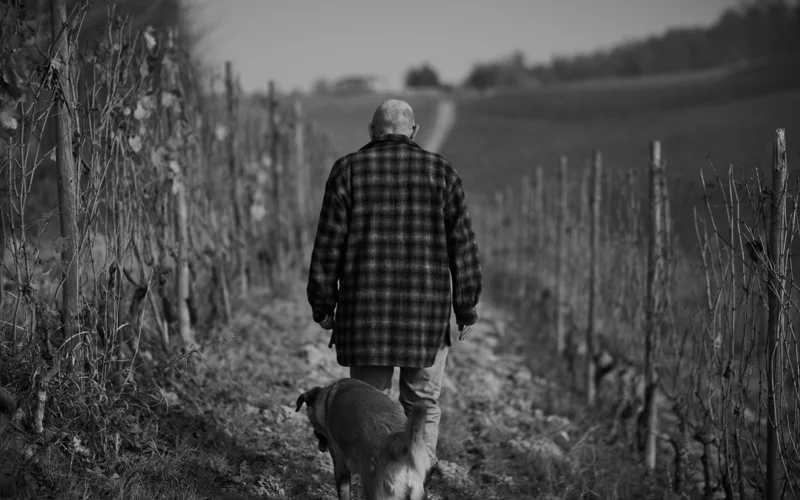 пожилой человек, насилие в семье 