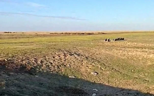 В Минэкологии ответили на сообщения о брошенных отходах после разделки сайгаков