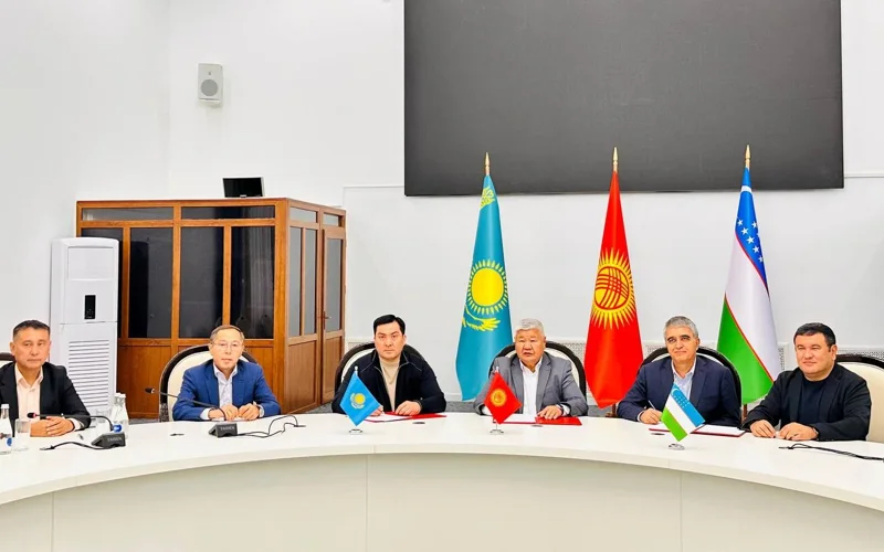 Astana, Bishkek, Tashkent sý-energetıkalyq balans boıynsha kelisimge keldi