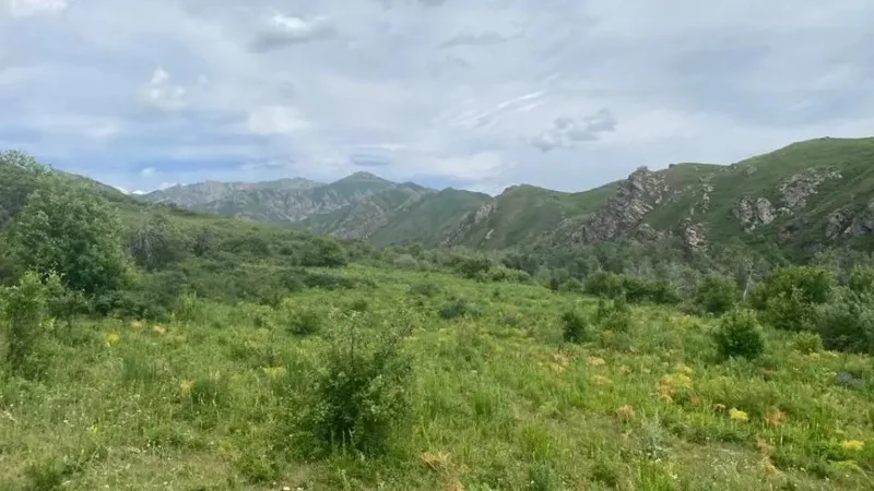 Abai region