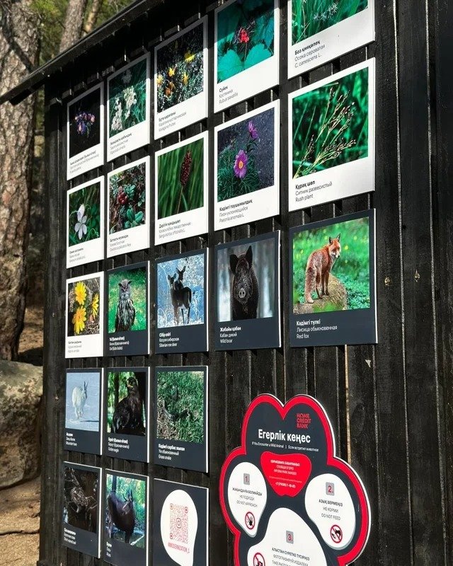 New gamified eco-trail opens in Kazakhstan’s Burabay National Park