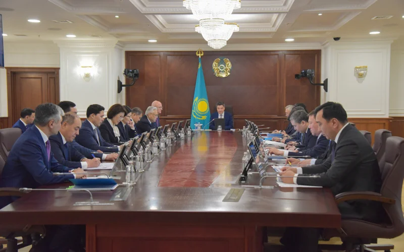 В Казахстане пересмотрят систему соцподдержки и внедрят цифровую платформу