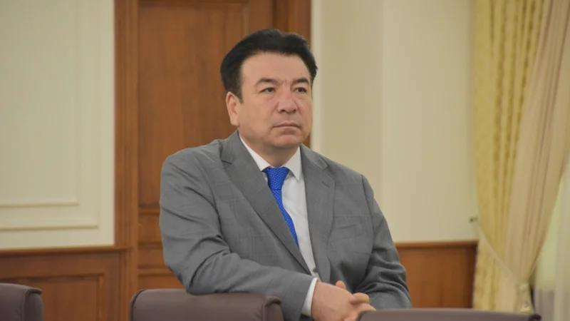 Білім беру жүйесінде ЖИ-ді енгізу жол картасы әзірленетін болды