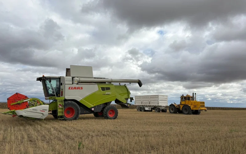 Господдержка и золотые руки: секреты рекордного урожая в Акмолинской области