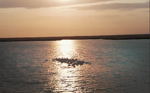 Объем воды в Северном Арале вырос до 24,1 млрд кубометров