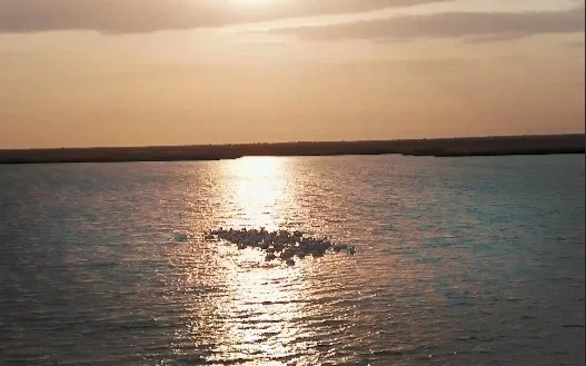 Water level in Northern Aral Sea rises up to 24.1 bln cu m