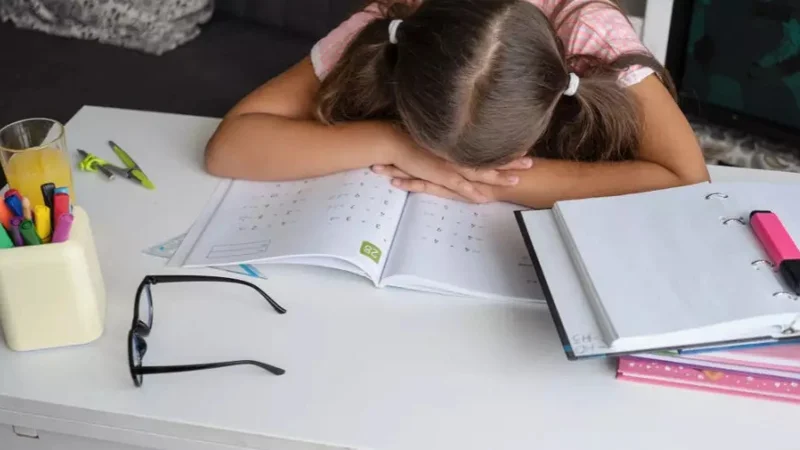 Үй тапсырмасын 