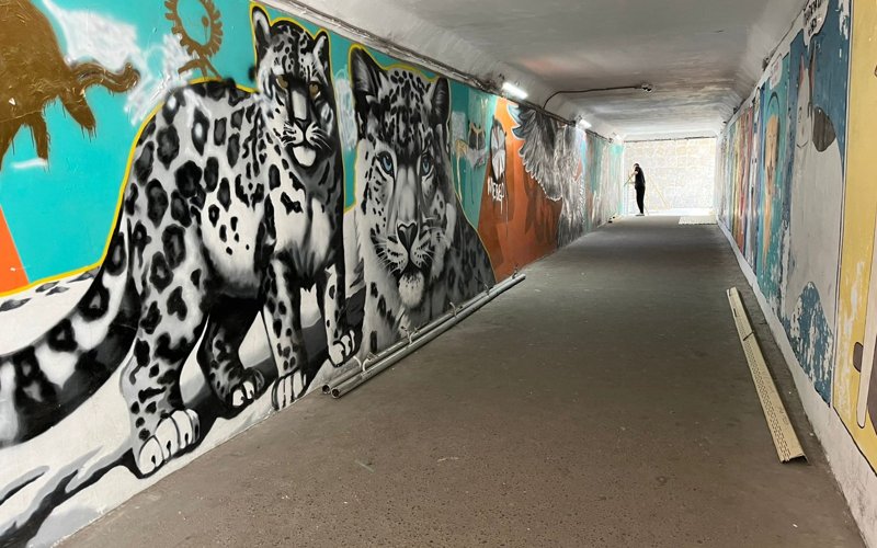 Подземный переход в Павлодаре, подвергающийся вандализму, отремонтируют за 31 млн тенге Подземный переход в Павлодаре, подвергающийся вандализму, отремонтируют за 31 млн тенге