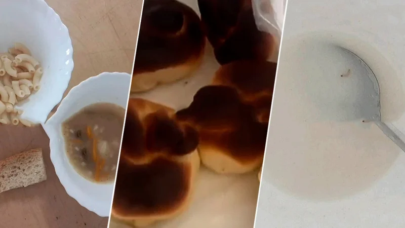 Насекомые и грязная посуда: в частном детсаду Талдыкоргана начали проверку