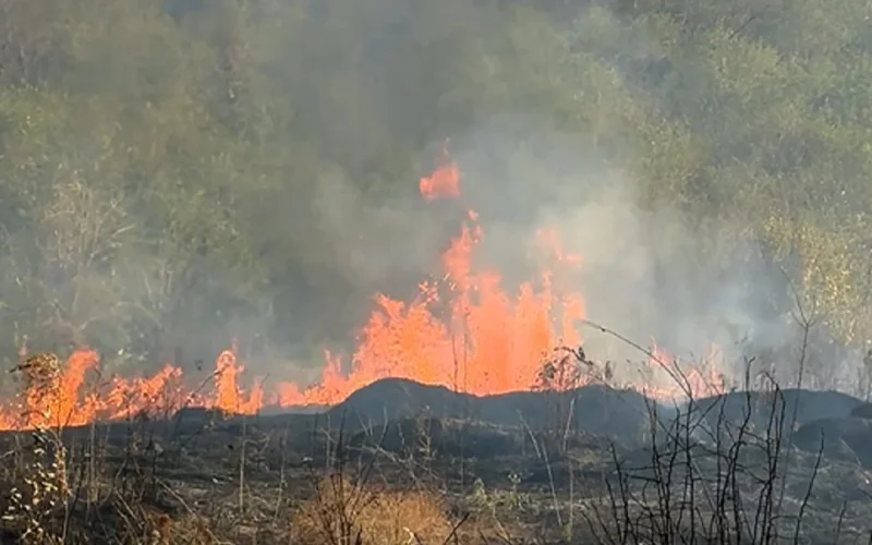 Склон горы загорелся возле оживленной трассы в Алматы